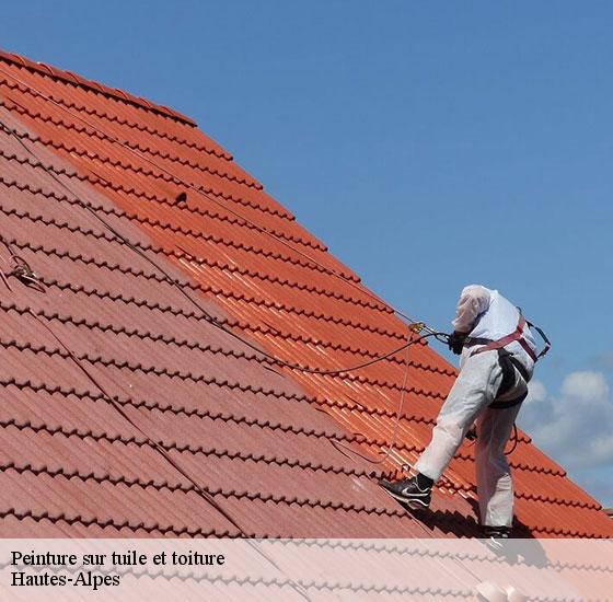 peinture-sur-tuile-et-toiture-adel-renovation-briancon