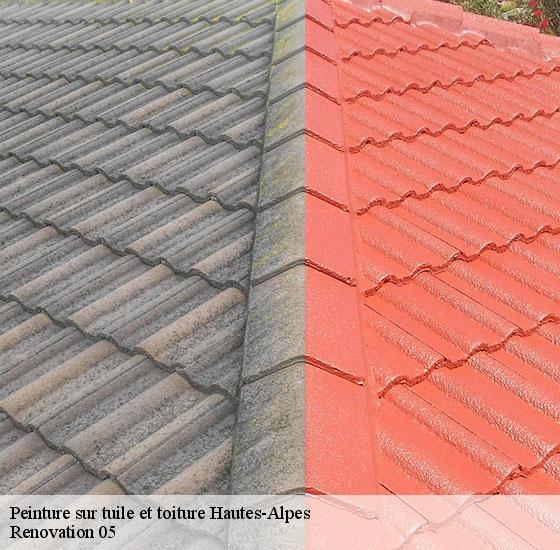 peinture-sur-tuile-et-toiture-renovation-05