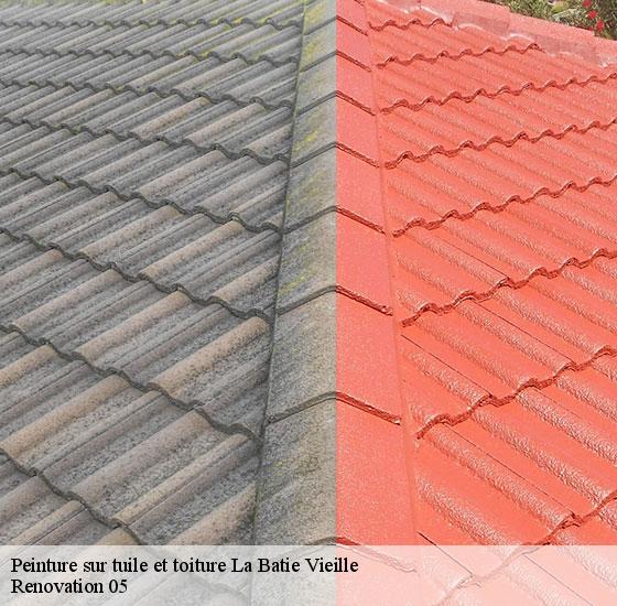 peinture-sur-tuile-et-toiture-renovation-05