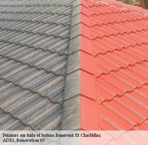 peinture-sur-tuile-et-toiture-adel-renovation-05