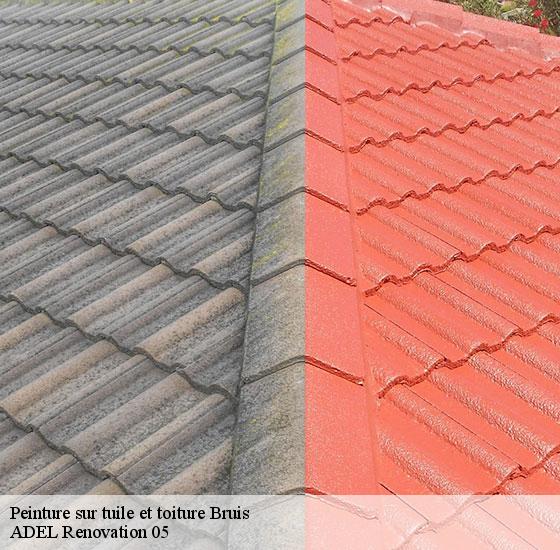 peinture-sur-tuile-et-toiture-adel-renovation-05