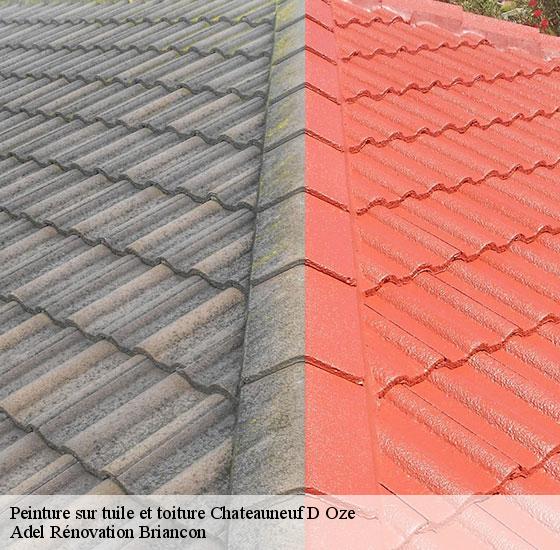 peinture-sur-tuile-et-toiture-adel-renovation-briancon