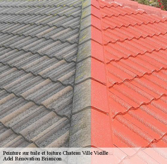 peinture-sur-tuile-et-toiture-adel-renovation-briancon