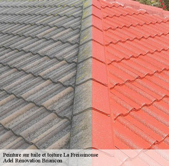 peinture-sur-tuile-et-toiture-adel-renovation-briancon