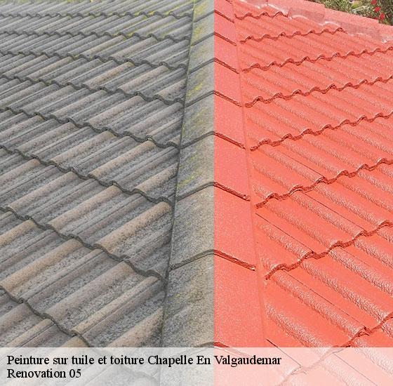 peinture-sur-tuile-et-toiture-renovation-05