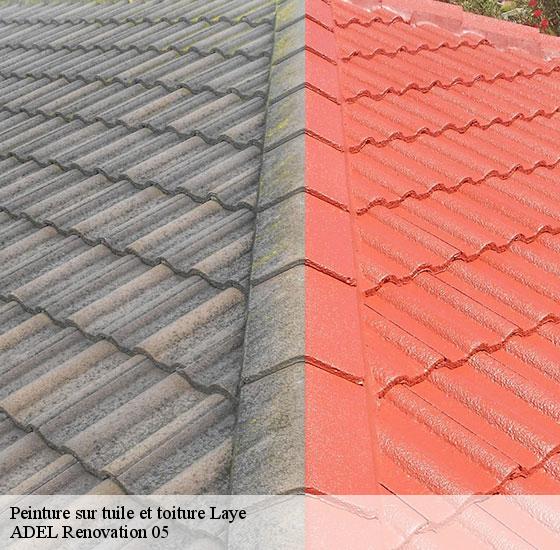 peinture-sur-tuile-et-toiture-adel-renovation-05