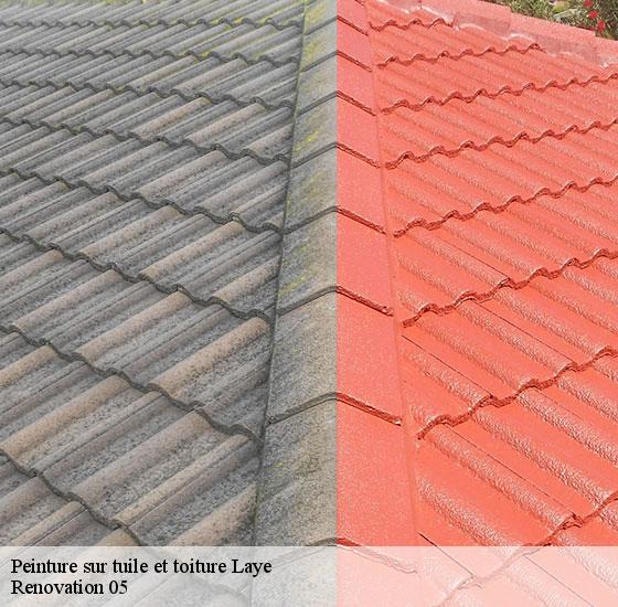 peinture-sur-tuile-et-toiture-renovation-05