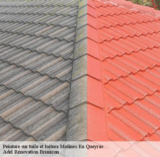 peinture-sur-tuile-et-toiture-adel-renovation-briancon