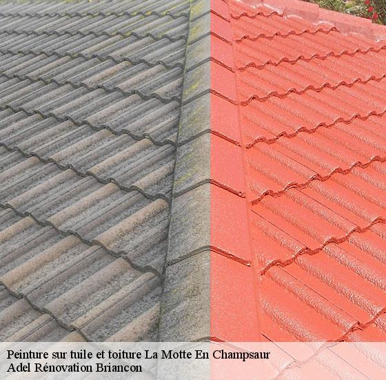 peinture-sur-tuile-et-toiture-adel-renovation-briancon