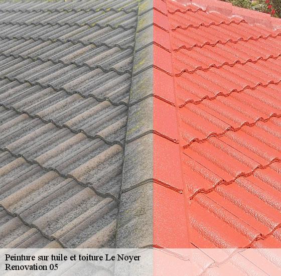 peinture-sur-tuile-et-toiture-renovation-05