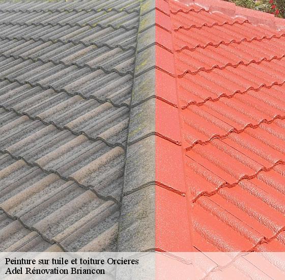 peinture-sur-tuile-et-toiture-adel-renovation-briancon