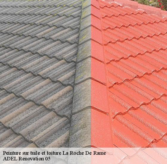 peinture-sur-tuile-et-toiture-adel-renovation-05