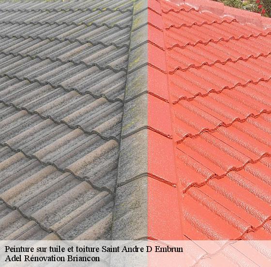 peinture-sur-tuile-et-toiture-adel-renovation-briancon