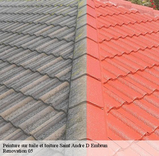 peinture-sur-tuile-et-toiture-renovation-05