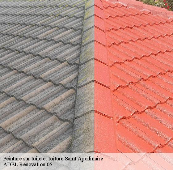 peinture-sur-tuile-et-toiture-adel-renovation-05