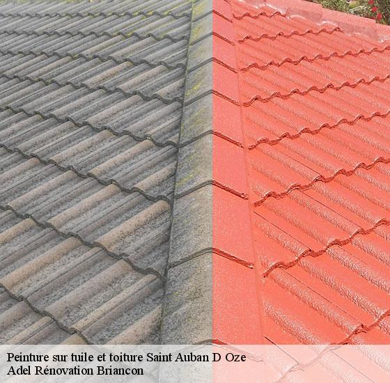 peinture-sur-tuile-et-toiture-adel-renovation-briancon