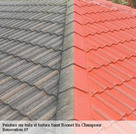 peinture-sur-tuile-et-toiture-renovation-05