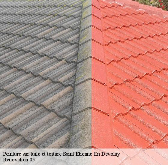 peinture-sur-tuile-et-toiture-renovation-05