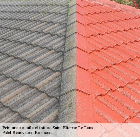 peinture-sur-tuile-et-toiture-adel-renovation-briancon