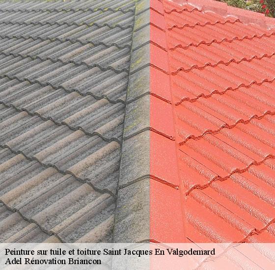 peinture-sur-tuile-et-toiture-adel-renovation-briancon