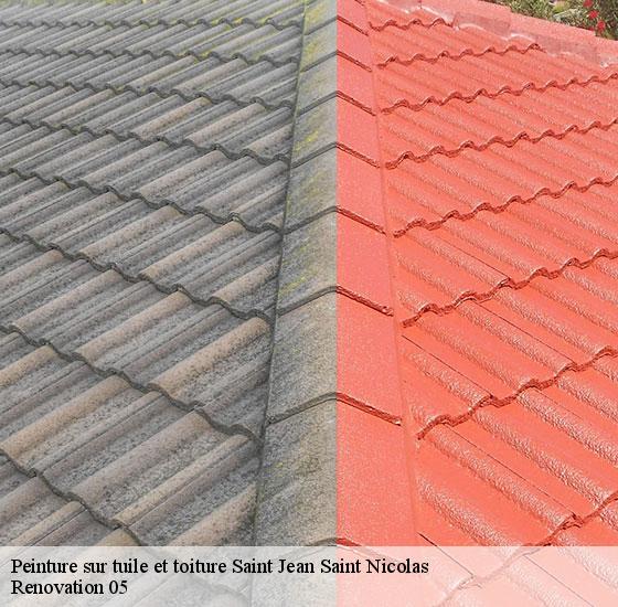 peinture-sur-tuile-et-toiture-renovation-05
