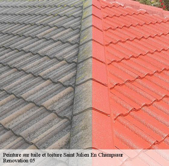 peinture-sur-tuile-et-toiture-renovation-05