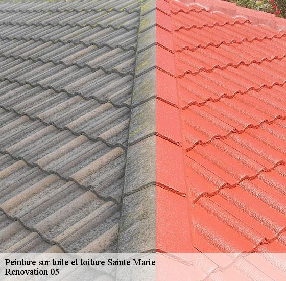 peinture-sur-tuile-et-toiture-renovation-05