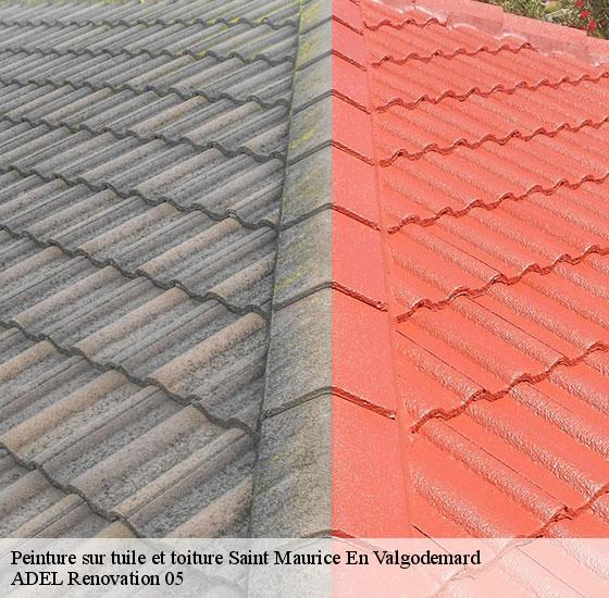 peinture-sur-tuile-et-toiture-adel-renovation-05