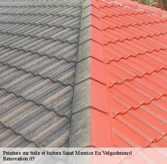 peinture-sur-tuile-et-toiture-renovation-05