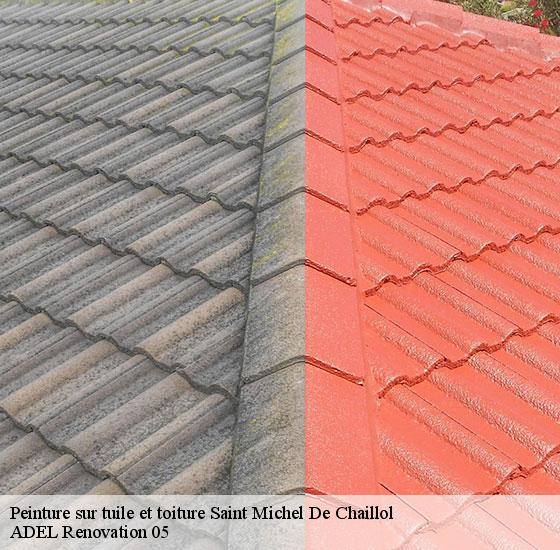 peinture-sur-tuile-et-toiture-adel-renovation-05