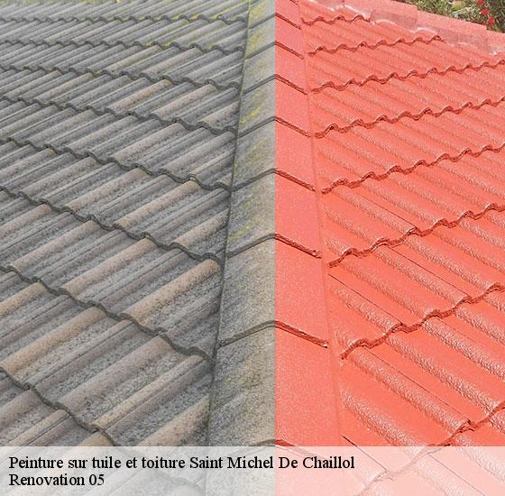peinture-sur-tuile-et-toiture-renovation-05