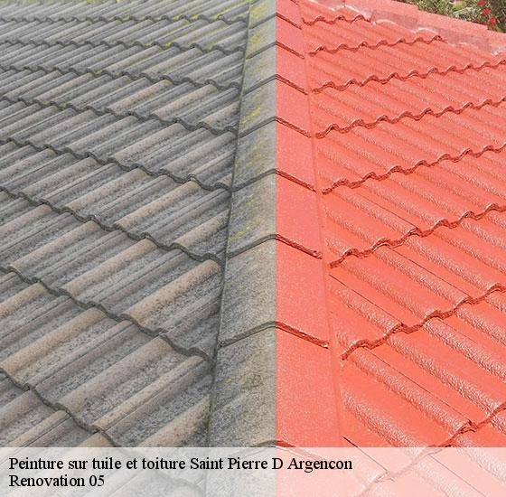 peinture-sur-tuile-et-toiture-renovation-05
