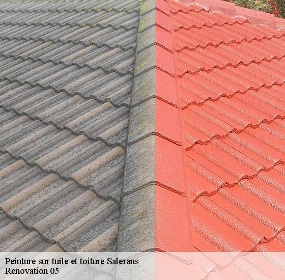 peinture-sur-tuile-et-toiture-renovation-05