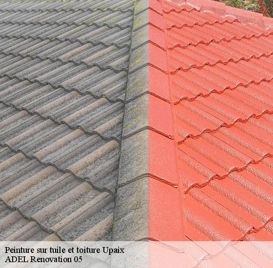 peinture-sur-tuile-et-toiture-adel-renovation-05