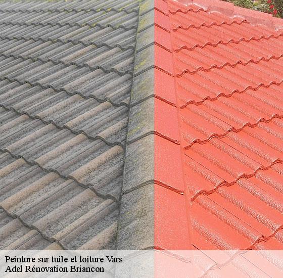 peinture-sur-tuile-et-toiture-adel-renovation-briancon