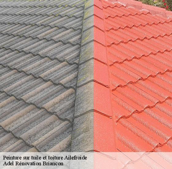 peinture-sur-tuile-et-toiture-adel-renovation-briancon