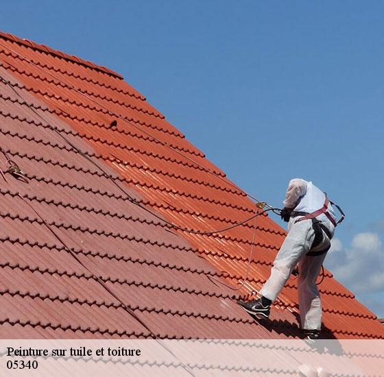 peinture-sur-tuile-et-toiture-adel-renovation-briancon