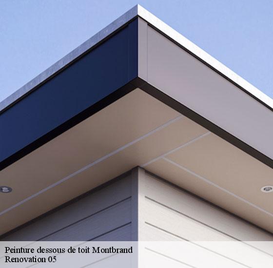 peinture-dessous-de-toit-renovation-05